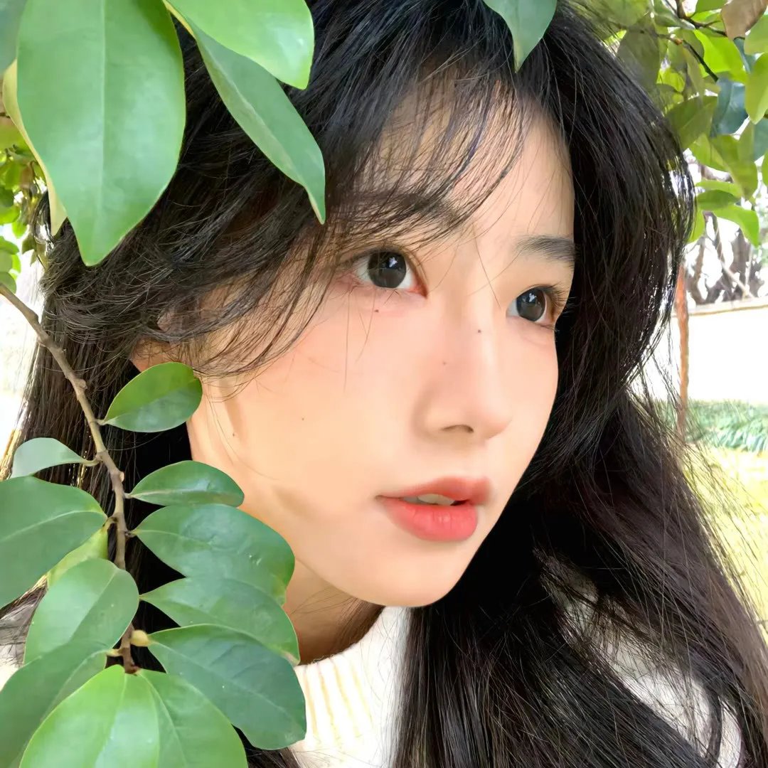 御前侍卫