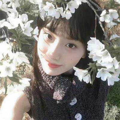 美国哈伦郡